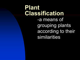 Plant Classification -a means of grouping plants according to their similarities Plant Classifications   Botanical Identifies plants according to their physical characteristics.