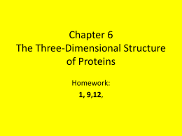 Chapter 6 The Three-Dimensional Structure of Proteins Homework: 1, 9,12, Proteins: Higher Orders of Structure • The structural variety of human proteins reflects the sophistication and.