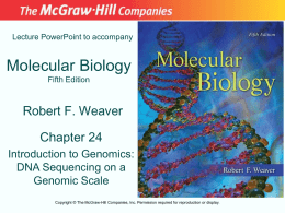 Lecture PowerPoint to accompany  Molecular Biology Fifth Edition  Robert F. Weaver Chapter 24 Introduction to Genomics: DNA Sequencing on a Genomic Scale Copyright © The McGraw-Hill Companies, Inc.