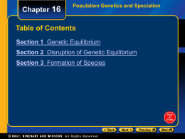 Chapter 16  Population Genetics and Speciation  Table of Contents Section 1 Genetic Equilibrium Section 2 Disruption of Genetic Equilibrium Section 3 Formation of Species.