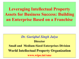Leveraging Intellectual Property Assets for Business Success: Building an Enterprise Based on a Franchise  Dr.