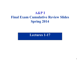A&P I Final Exam Cumulative Review Slides Spring 2014  Lectures 1-17 Body Regions  Figure 1.7 in Textbook.