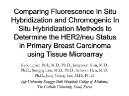 Comparing Fluorescence In Situ Hybridization and Chromogenic In Situ Hybridization Methods to Determine the HER2/neu Status in Primary Breast Carcinoma using Tissue Microarray Kyeongmee Park, M.D.,