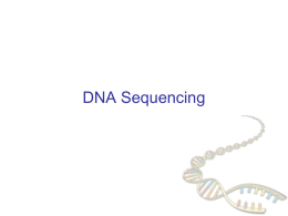 DNA Sequencing DNA sequencing How we obtain the sequence of nucleotides of a species  …ACGTGACTGAGGACCGTG CGACTGAGACTGACTGGGT CTAGCTAGACTACGTTTTA TATATATATACGTCGTCGT ACTGATGACTAGATTACAG ACTGATTTAGATACCTGAC TGATTTTAAAAAAATATT…  CS262 Lecture 9, Win07, Batzoglou.
