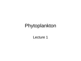 Phytoplankton Lecture 1 Phytoplankton • Unicells • Filaments • Colonies – chains, or spheres.