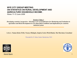 WYE CITY GROUP MEETING ON STATISTICS ON RURAL DEVELOPMENT AND AGRICULTURE HOUSEHOLD INCOME , Rome 11-12 June 2009 Session 3 Topic 3 Developing countries&rsquo; perspective: