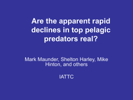 Are the apparent rapid declines in top pelagic predators real? Mark Maunder, Shelton Harley, Mike Hinton, and others  IATTC.