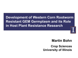 Development of Western Corn Rootworm Resistant GEM Germplasm and its Role in Host Plant Resistance Research  Martin Bohn Crop Sciences University of Illinois.