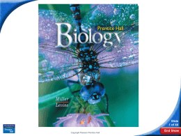 Biology  Slide 1 of 44 Copyright Pearson Prentice Hall  End Show 28–3 Insects  Slide 2 of 44 Copyright Pearson Prentice Hall  End Show.