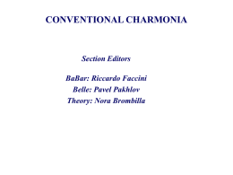 CONVENTIONAL CHARMONIA  Section Editors  BaBar: Riccardo Faccini Belle: Pavel Pakhlov Theory: Nora Brombilla Outline of the section.  0.