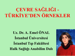 ÇEVRE SAĞLIĞI TÜRKİYE’DEN ÖRNEKLER  Uz. Dr. A. Emel ÖNAL İstanbul Üniversitesi İstanbul Tıp Fakültesi Halk Sağlığı Anabilim Dalı.