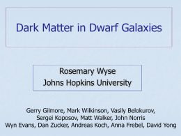 Dark Matter in Dwarf Galaxies  Rosemary Wyse Johns Hopkins University Gerry Gilmore, Mark Wilkinson, Vasily Belokurov, Sergei Koposov, Matt Walker, John Norris Wyn Evans, Dan.