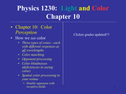 Physics 1230: Light and Color Chapter 10 • Chapter 10: Color Perception • How we see color  Clicker grades updated!!!  • Three types of cones -