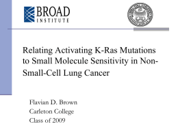 Relating Activating K-Ras Mutations to Small Molecule Sensitivity in NonSmall-Cell Lung Cancer Flavian D.
