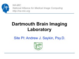 NA-MIC National Alliance for Medical Image Computing http://na-mic.org  Dartmouth Brain Imaging Laboratory Site PI: Andrew J.