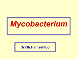 Mycobacterium Dr.Gh.Hamzehloo  رخدادهایی که در سطح آزمایشگاه رخ می دهد و نتایجی   که در پی دارد :    یک مرد   83 ساله در بیمارستانی پذیرش.