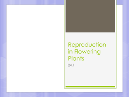 Reproduction in Flowering Plants 24.1 The Structure of Flowers  Flowers  are reproductive organs that are composed of four different kinds of specialized leaves: 1.