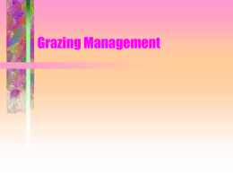 Grazing Management Season-Long Grazing • One large pasture • Pasture is grazed all summer long • Same pattern every year.
