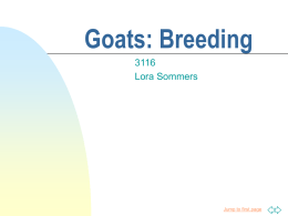 Goats: BreedingLora Sommers  Jump to first page I. BREEDING SYSTEMS. A. Different breeding systems offer advantages and disadvantages. 1.
