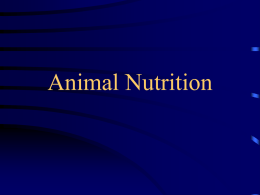 Animal Nutrition Need for Nourishment • body processes require the use of energy • obtained from ingested food or stored fat • animal must have.