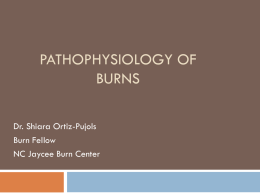 PATHOPHYSIOLOGY OF BURNS Dr. Shiara Ortiz-Pujols Burn Fellow NC Jaycee Burn Center Objectives   PART 1  Anatomy  Overview  Causes of Burns  Estimating Burns (Depth & %)  Categories &