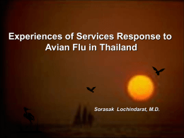 Experiences of Services Response to Avian Flu in Thailand  Sorasak Lochindarat, M.D.
