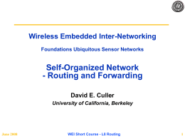 Wireless Embedded Inter-Networking Foundations Ubiquitous Sensor Networks  Self-Organized Network - Routing and Forwarding David E.