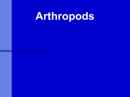 Arthropods What is Entomology? The study of insects (and their near relatives).  What are insects (and near relatives)? Insects and their relatives are ARTHROPODS.