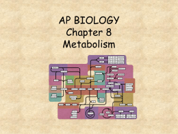 AP BIOLOGY Chapter 8 Metabolism The FIRST _____ Law of Thermodynamics states that energy can be transformed and transferred by NEVER created or destroyed Anabolic pathways → consume.