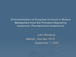 Characterization of Enzymes Involved in Butane Metabolism from the Pollutant Degrading bacterium, Pseudomonas butanovora  John Stenberg Mentor: Dan Arp, Ph.D. September 1, 2004