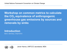 Workshop on common metrics to calculate the CO2 equivalence of anthropogenic greenhouse gas emissions by sources and removals by sinks Introduction Bonn, Germany, 3 April.