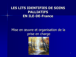 LES LITS IDENTIFIES DE SOINS PALLIATIFS EN ILE-DE-France  Mise en œuvre et organisation de la prise en charge  SMAMIF-ARHIF 2008
