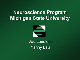 Neuroscience Program Michigan State University  Joe Lonstein Yanny Lau Deliberations so far: Who participated? two meetings with same focus opposite ends of campus 18/41 total faculty (44%) 16/31