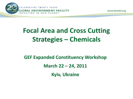 Focal Area and Cross Cutting Strategies – Chemicals GEF Expanded Constituency Workshop March 22 – 24, 2011  Kyiv, Ukraine.