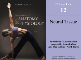 Chapter Neural Tissue  PowerPoint&reg; Lecture Slides prepared by Jason LaPres Lone Star College - North Harris  Copyright &copy; 2009 Pearson Education, Inc., publishing as Pearson.