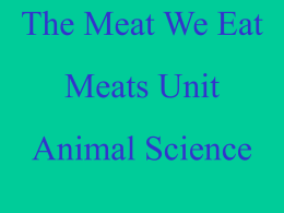 The Meat We Eat  Meats Unit Animal Science Terminology Terminology  Meats: the edible flesh of mammals used for food.
