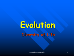 Evolution Diversity of Life  copyright cmassengale Evolution  “Nothing in biology makes sense EXCEPT in the light of evolution.” Theodosius Dobzhansky Charles Darwin in later years  copyright cmassengale.