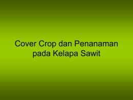 Cover Crop dan Penanaman pada Kelapa Sawit Cover Crop Tanaman Penutup Tanah • Legume (LCC=legume cover crop) • Syarat : mudah diperbanyak (biji,