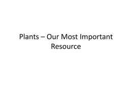 Plants – Our Most Important Resource • The food that you eat, oxygen that you breathe and fabric that you wear all.