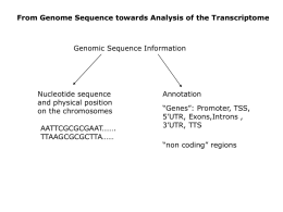 From Genome Sequence towards Analysis of the Transcriptome  Genomic Sequence Information  Nucleotide sequence and physical position on the chromosomes AATTCGCGCGAAT……. TTAAGCGCGCTTA……  Annotation “Genes”: Promoter, TSS, 5’UTR, Exons,Introns , 3’UTR, TTS “non.