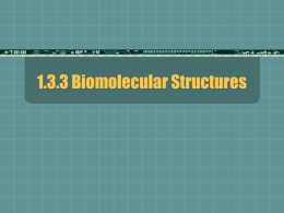 1.3.3 Biomolecular Structures Types of Food The elements combine in different ratios to form different food components (biomolecular units)  Food is made up.