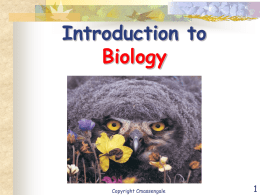 Introduction to Biology  Copyright Cmassengale Biology – The Study of Life         Life arose more than 3.5 billion years ago First organisms (living things) were single celled Only life on.