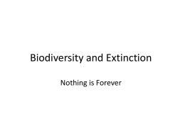 Biodiversity and Extinction Nothing is Forever Natural Extinctions • Surprisingly enough, we know very little about natural extinctions • In the past, known only.