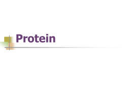 Protein Protein       Surprisingly little is known about protein and health but some recommendations Adults need 0.8 grams of protein/kg of body weight per day.