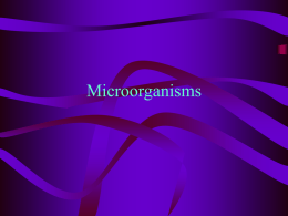 Microorganisms Microbes • too small to be seen with the naked eye • aggregations or colonies can be seen without the aid of a microscope.
