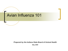 Avian Influenza 101  Prepared by the Indiana State Board of Animal Health May 2006