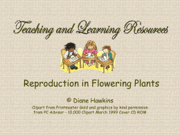 Reproduction in Flowering Plants © Diane Hawkins Clipart from Printmaster Gold and graphics by kind permission from PC Advisor - 10,000 Clipart March.