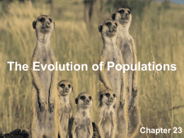 The Evolution of Populations  Chapter 23 Populations and Gene Pools • A population is a group of individuals in a certain time and.