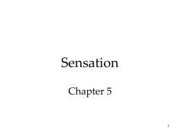 Sensation Chapter 5 Sensation & Perception How do we construct our representations of the external world? To represent the world, we must detect physical energy.