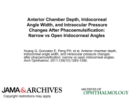 Anterior Chamber Depth, Iridocorneal Angle Width, and Intraocular Pressure Changes After Phacoemulsification: Narrow vs Open Iridocorneal Angles  Huang G, Gonzalez E, Peng PH, et.
